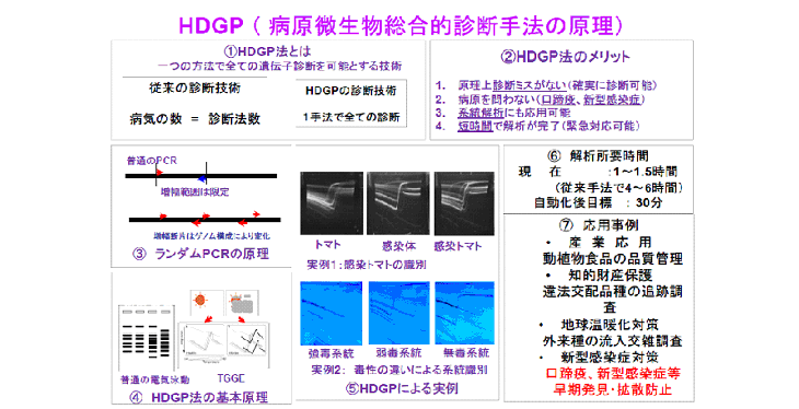 HDGP（病原微生物総合的診断手法の原理)