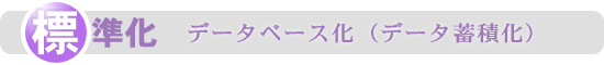 標準化　データベース（データ蓄積化）