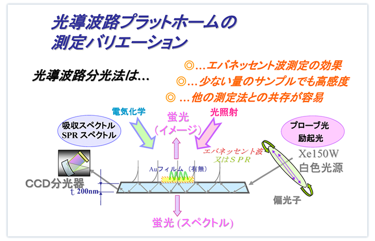 光導波路プラットホームの測定バリエーション